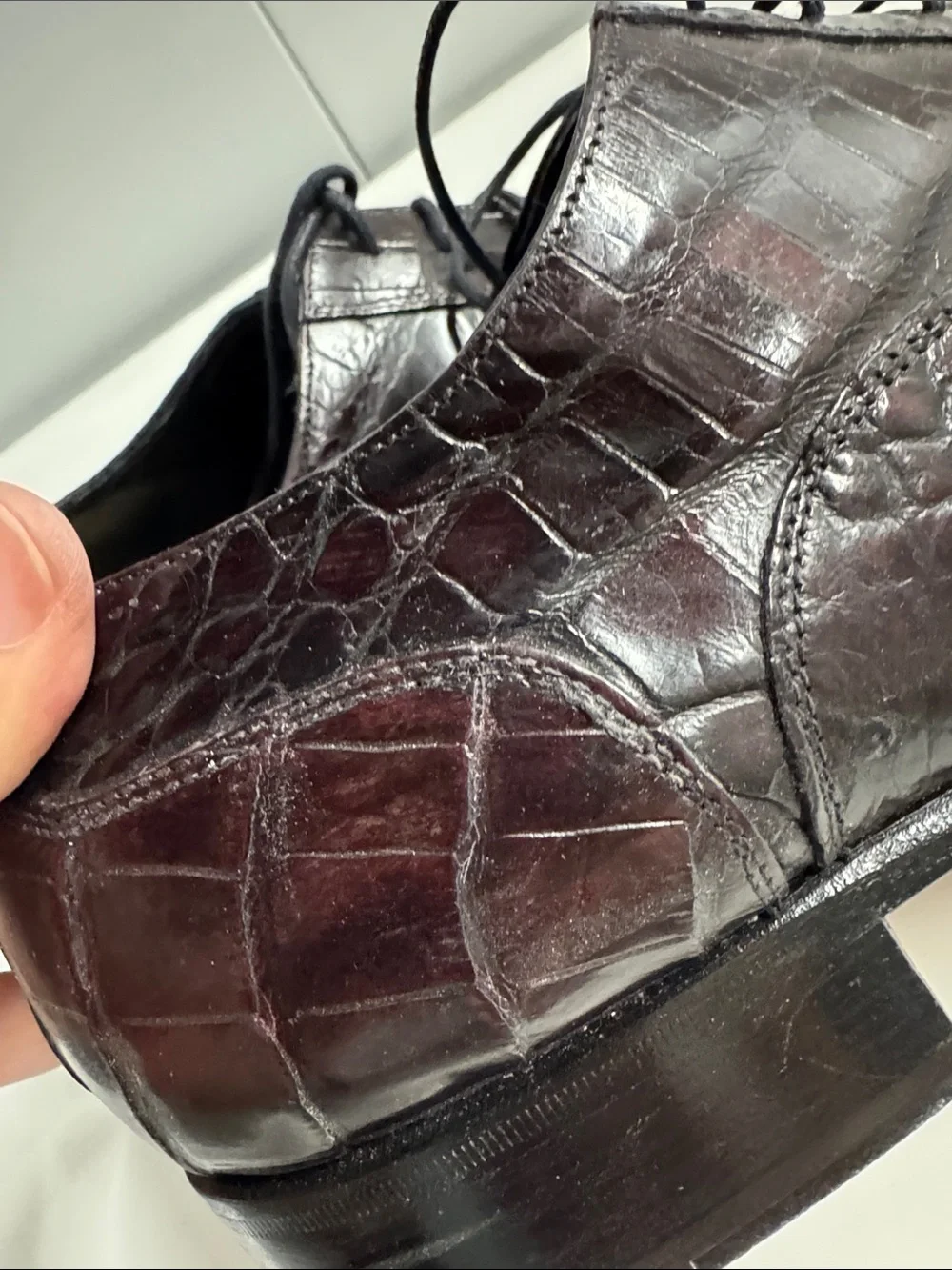 Caporicci size 11.5 Men's real alligator Leather Oxford in Dark Brown
